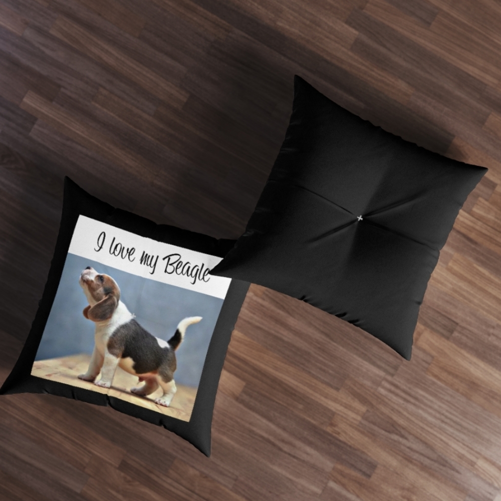 I love my Beagle floor pillow
